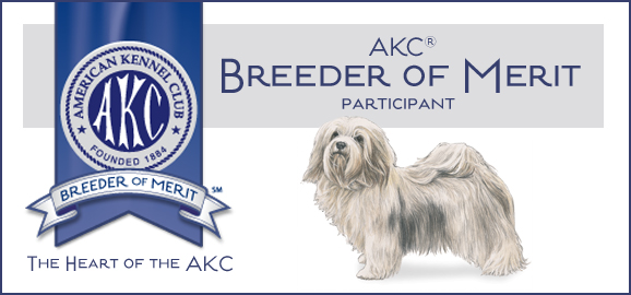 Havanese Breeder of Merit